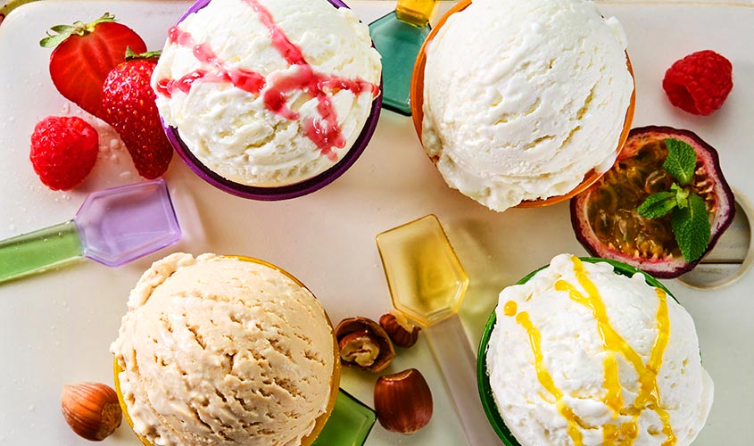 Sladoledi/Posude Sladoled Fantastico Yogurteria bofrost