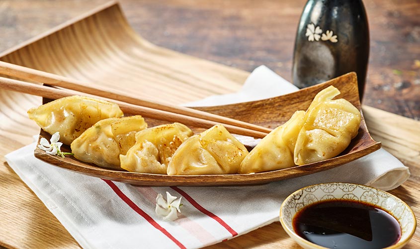 Novosti Gyoza s Piletinom i Povrćem bofrost