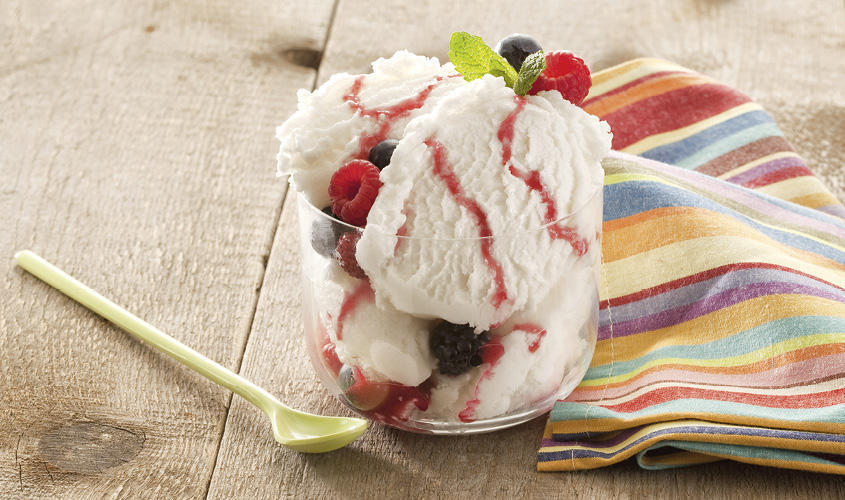 Sladoledi/Posude Krem sladoled jogurt-šumsko voće bofrost